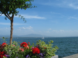 2006 06-Geneva Lake - Boat - Flowers